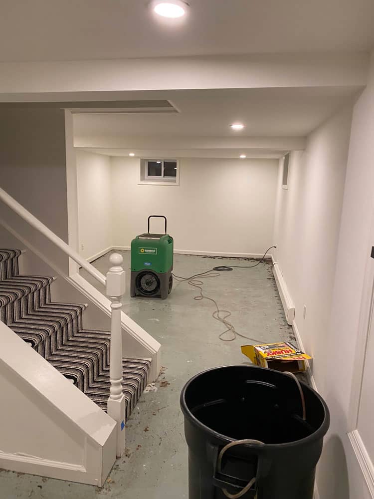 Basement Humidity Removal